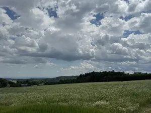 Prodej podílu pozemku, Suchdol, 9026 m2