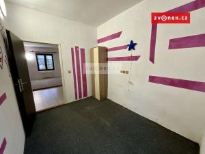 Pronájem bytu 3+kk, Střížovice - Vlčice, 51 m2