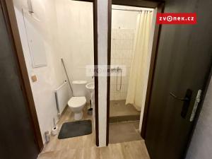 Pronájem bytu 3+kk, Střížovice - Vlčice, 51 m2