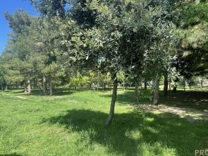 Prodej bytu 3+kk, Montesilvano,Itálie, 75 m2