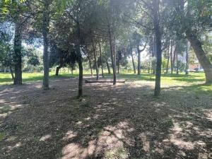 Prodej bytu 3+kk, Montesilvano,Itálie, 75 m2