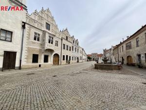 Prodej pozemku pro bydlení, Slavonice, Svatopluka Čecha, 189 m2