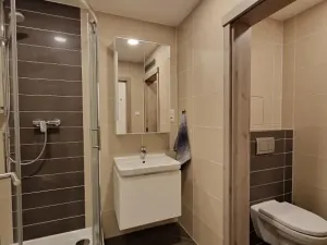 Pronájem bytu 1+kk, Praha - Vršovice, Petrohradská, 30 m2