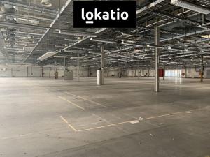 Pronájem skladu, Plzeň, 5000 m2