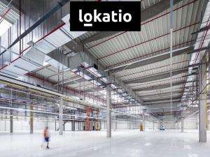 Pronájem skladu, Ovčáry, 10500 m2