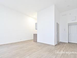 Pronájem bytu 1+kk, Brno, Bašty, 39 m2