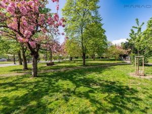 Prodej bytu 3+1, Praha - Strašnice, U kombinátu, 112 m2