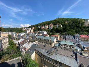 Prodej bytu 2+kk, Karlovy Vary, Zámecký vrch, 90 m2