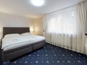 Prodej ubytování, Karlovy Vary, Zámecký vrch, 400 m2