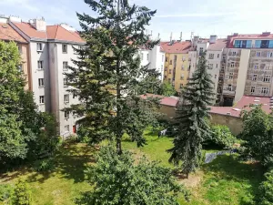 Pronájem bytu 2+1, Praha - Bubeneč, U zeměpisného ústavu, 46 m2