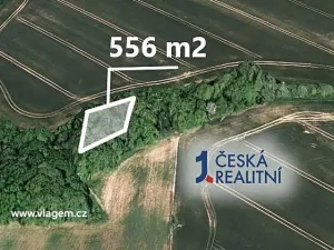 Prodej lesa, Kněžice, 556 m2