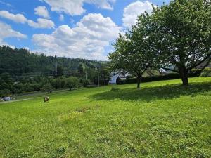 Prodej pozemku, Jablonec nad Jizerou, 1600 m2