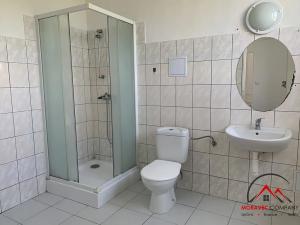 Pronájem bytu 1+kk, Třemešná, 40 m2