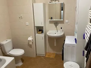 Pronájem bytu 1+kk, Prostějov, Vápenice, 49 m2