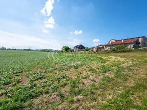 Prodej pozemku pro bydlení, Dobrovice - Úherce, 1050 m2