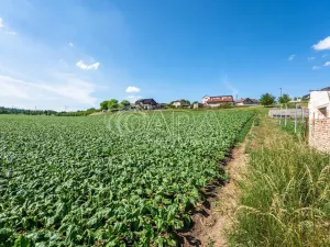 Prodej pozemku pro bydlení, Dobrovice - Úherce, 1050 m2