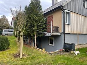 Pronájem bytu 1+kk, Planá, Sadová, 40 m2