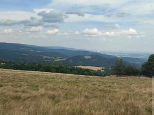 Prodej louky, Stráž nad Ohří, 38747 m2