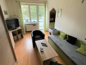 Prodej bytu 1+kk, Lovosice, Sady pionýrů, 22 m2