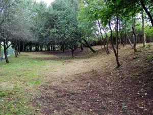 Prodej pozemku pro bydlení, Žamberk, U Líšnice, 4891 m2