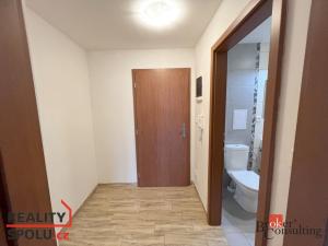 Pronájem bytu 1+kk, Opava - Předměstí, Kasárenská, 32 m2