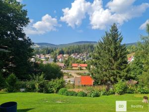 Prodej podílu 1/2 rodinného domu, Rokytnice nad Jizerou - Horní Rokytnice, 366 m2