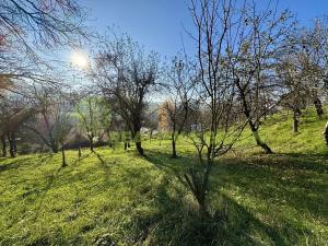 Prodej rodinného domu, Zádveřice-Raková, 270 m2