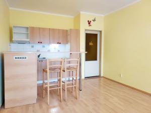 Pronájem bytu 1+kk, Liberec, Jeronýmova, 30 m2