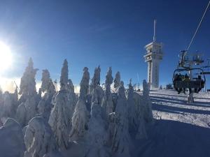 Prodej bytu 2+kk, Loučná pod Klínovcem, 56 m2