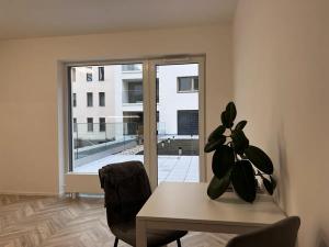 Pronájem bytu 1+kk, Brno, Cejl, 30 m2