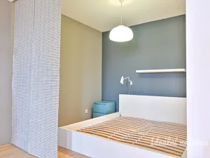 Pronájem bytu 1+kk, Brno - Královo Pole, Mojžíšova, 62 m2