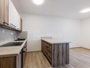 Pronájem bytu 1+kk, Zbůch, 32 m2