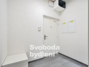 Pronájem bytu 1+kk, Praha - Dejvice, Heinemannova, 49 m2