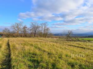 Prodej pozemku pro bydlení, Vážany, 2045 m2