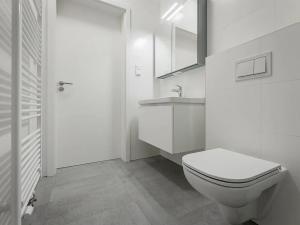 Pronájem bytu 1+kk, Praha - Žižkov, Seifertova, 32 m2