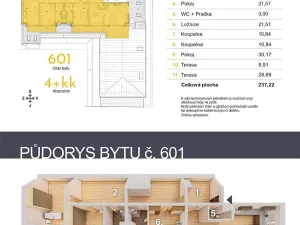 Prodej bytu 4+kk, České Budějovice, Fráni Šrámka, 237 m2