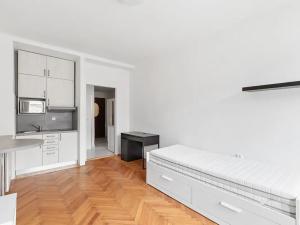 Pronájem bytu 1+kk, Praha - Vinohrady, Libická, 26 m2