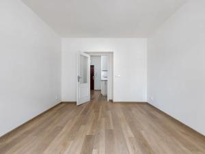 Pronájem bytu 1+kk, Praha - Žižkov, Milíčova, 35 m2