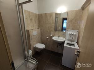 Pronájem bytu 1+kk, Karlovy Vary, Divadelní, 35 m2