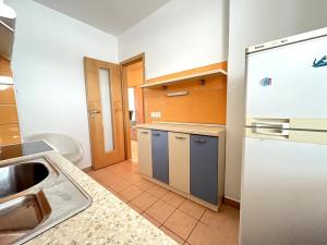 Pronájem bytu 1+1, České Budějovice - České Budějovice 7, Lidická tř., 41 m2