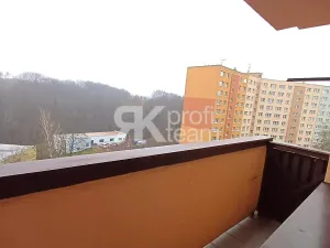 Prodej bytu 1+1, Ostrava, Srbská, 43 m2