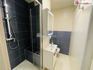 Pronájem bytu 1+1, Hodonín, Sv. Čecha, 34 m2