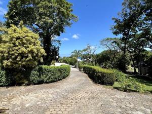 Prodej chaty, Punta Blanca, José Santos Guardiola, Honduras, 232 m2