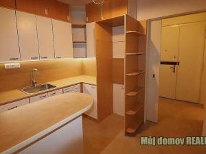 Pronájem bytu 2+kk, Praha - Vinohrady, Mánesova, 58 m2