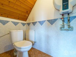 Prodej rodinného domu, Sokolov - Vítkov, 230 m2