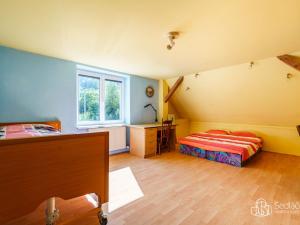 Prodej rodinného domu, Sokolov - Vítkov, 230 m2