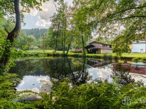 Prodej rodinného domu, Sokolov - Vítkov, 230 m2