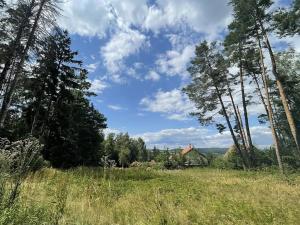 Prodej pozemku pro bydlení, Rabyně, 2831 m2