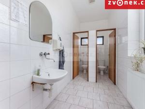 Prodej rodinného domu, Lutonina, 750 m2