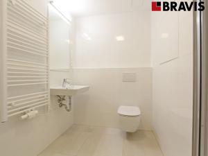 Pronájem bytu 1+kk, Brno - Veveří, Lidická, 34 m2